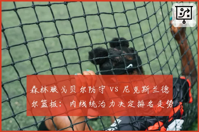 森林狼戈贝尔防守 vs 尼克斯兰德尔篮板：内线统治力决定排名走势
