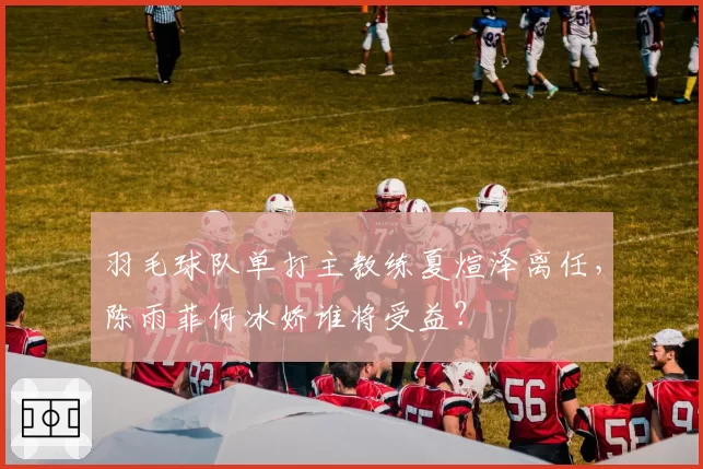 羽毛球队单打主教练夏煊泽离任，陈雨菲何冰娇谁将受益？