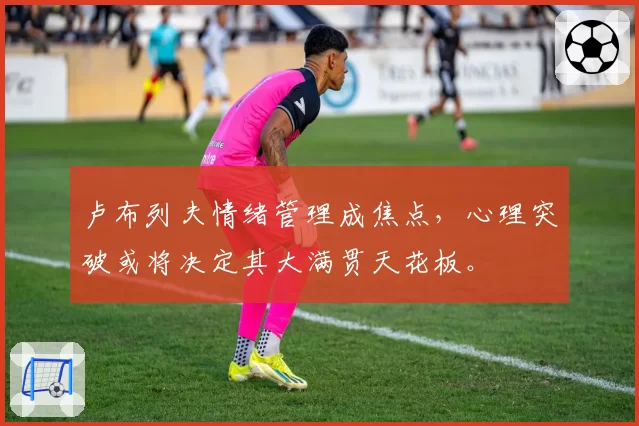 卢布列夫情绪管理成焦点,心理突破或将决定其大满贯天花板。