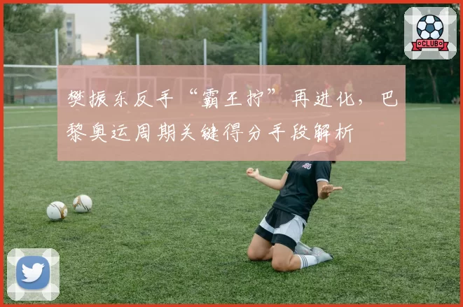 樊振东反手“霸王拧”再进化,巴黎奥运周期关键得分手段解析